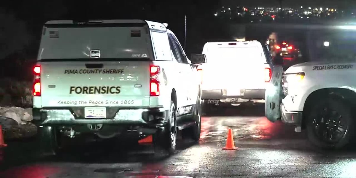 Nancy Guthrie Case: Uber Footage Revealed, Recall Effort Grows