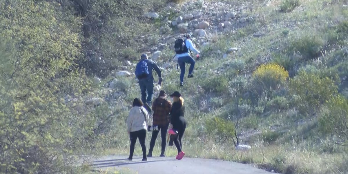 Black and white aerial or surveillance image of Rio Rico residential property being searched