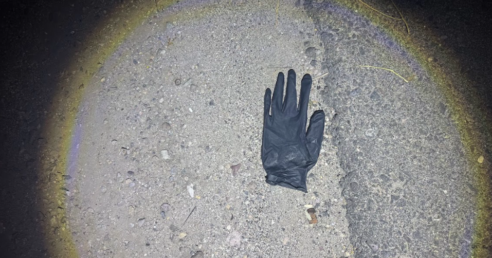 Law enforcement or search personnel examining ground near Nancy Guthrie's home, with evidence marker visible