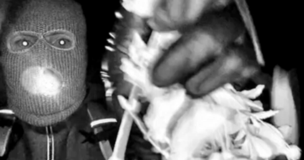 Black and white surveillance or security footage showing a person, appears to be from a doorbell camera or security system